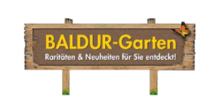 BALDUR